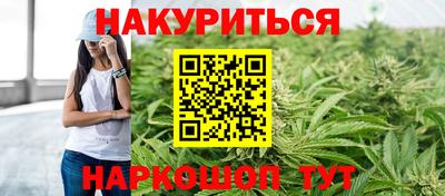 винт Сланцы