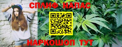 бошки Славянск-на-Кубани