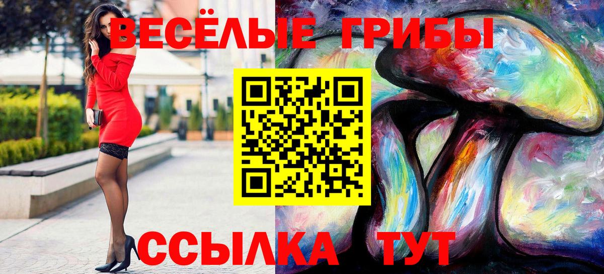 Псилоцибиновые грибы Psilocybine cubensis Пыть-Ях