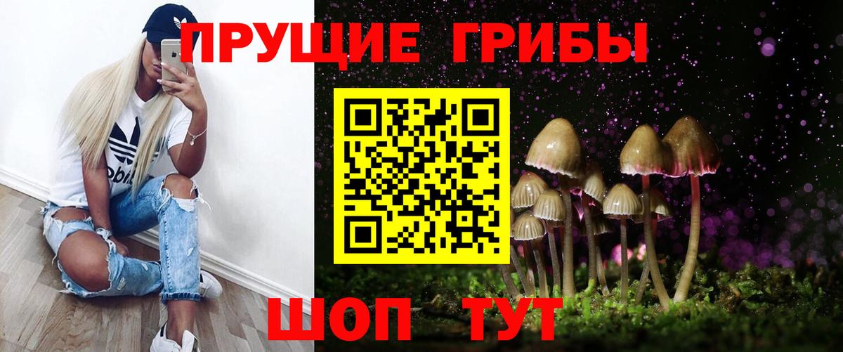 Пыть-Ях  Псилоцибиновые грибы MAGIC MUSHROOMS  Вход с VPN 